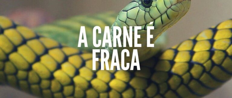 a carne é fraca