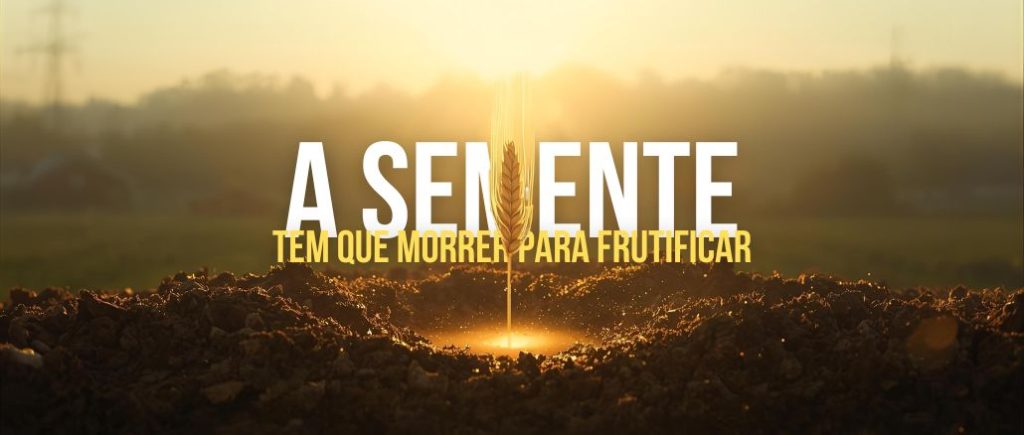 semente