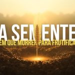 semente